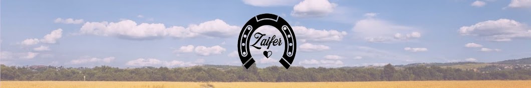 Zaifer4 YouTube channel avatar