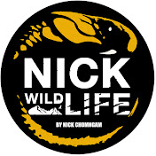 Nick Wildlife