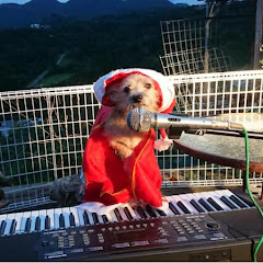 沖縄ゆんたく放送 上江田武信