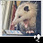 @shopstuff5 Avatar