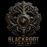 aFqPBCaf25U-channel-avatar-BLACKROOT ENGINE