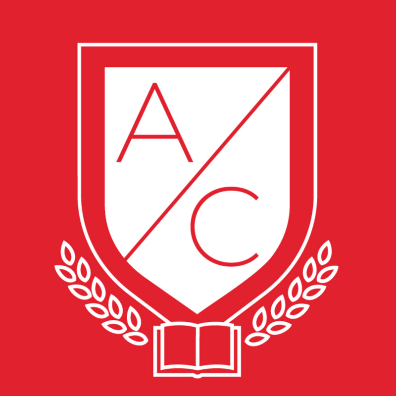 Академия смысла Logo