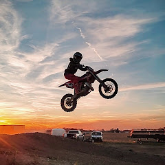 Skyler #238 and #36