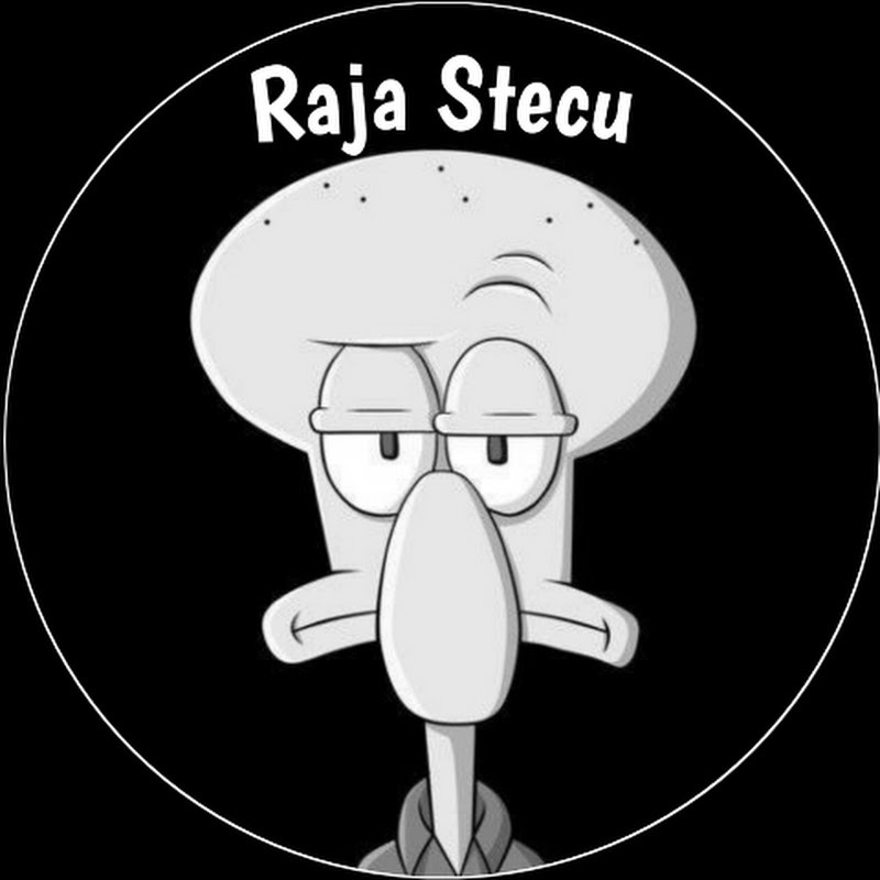 Raja Stecu
