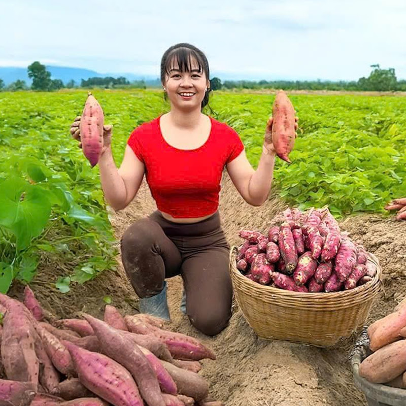 Phương Countryside Logo