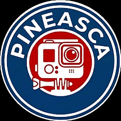 PINEASCA