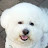 @행복한만두엄마