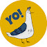 oxYM-bmgGSY-channel-avatar-SeagullBro