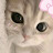 @댕푸딩