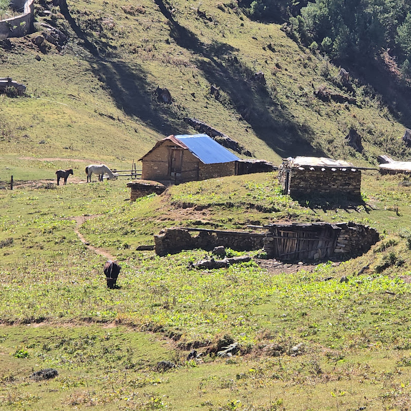 Nepal Nayan