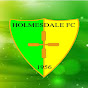 Holmesdale1956FC logo