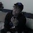 -KgeQ0fJJKE-channel-avatar-LbzCriss