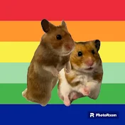 はむおっちゃんねる