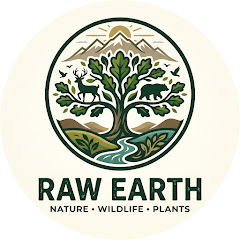 Raw Earth channel avatar