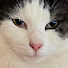 bfkY3yI0FRI-channel-avatar-다다익선