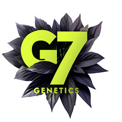 Thumbnail of related channel