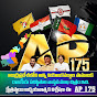 AP 175 logo