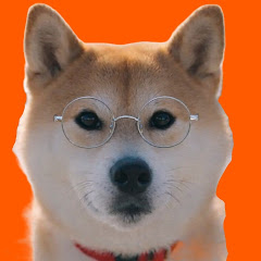 柴犬をプロデュース