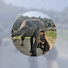 ErgFqC_Kpw0-channel-avatar-Wandering with Jenny