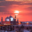 @mshahadat6634
