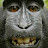 @lnnoT6665 Avatar