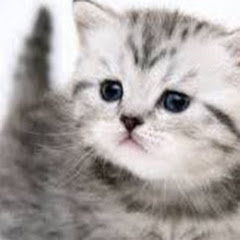 蔬菜アイコン画像