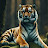 @siberian_tiger30509
