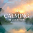 QLL2QpdYmWI-channel-avatar-Calming Relaxation