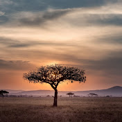 Africa Uncovered