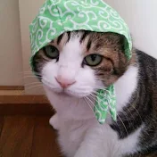 ほのぼの猫ミーム2ch