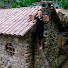 YO314_8tgnI-channel-avatar-Building Country Farm