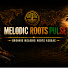 gB8wLHEC_6I-channel-avatar-Melodic Roots Pulse