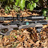 jGORJ_xqKkY-channel-avatar-Air Gun Shooting Sessions