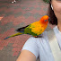 JA6186ecL2w-channel-avatar-Birdy Travels 