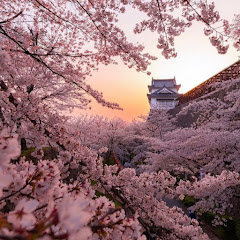 マッドママの基地