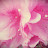 @air-r1l4r