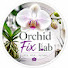 Cj-v6g2Rg44-channel-avatar-Orchid Fix Lab 1