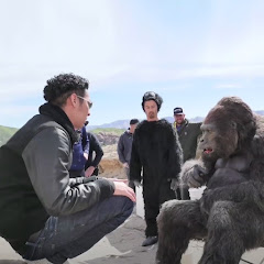 Creative Nomad | Japan & World Cultures