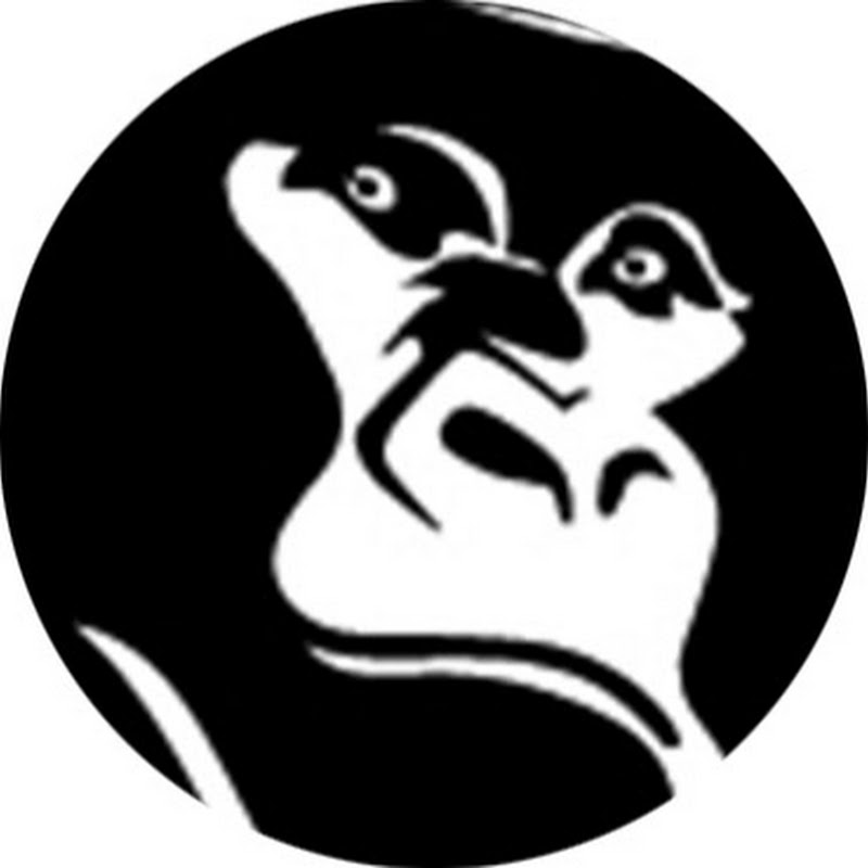 Gorilla Doctors