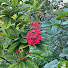 ZCJC3ruYsk8-channel-avatar-TrungKienNB