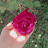 @جنيدشهاب-م5ل