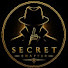 iPlx60HfNy0-channel-avatar-SECRET CHAPTER 