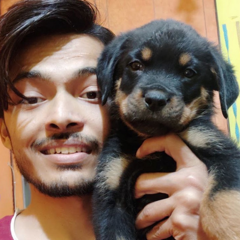 Review Reloaded Vlogs