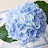 @회장-f7d