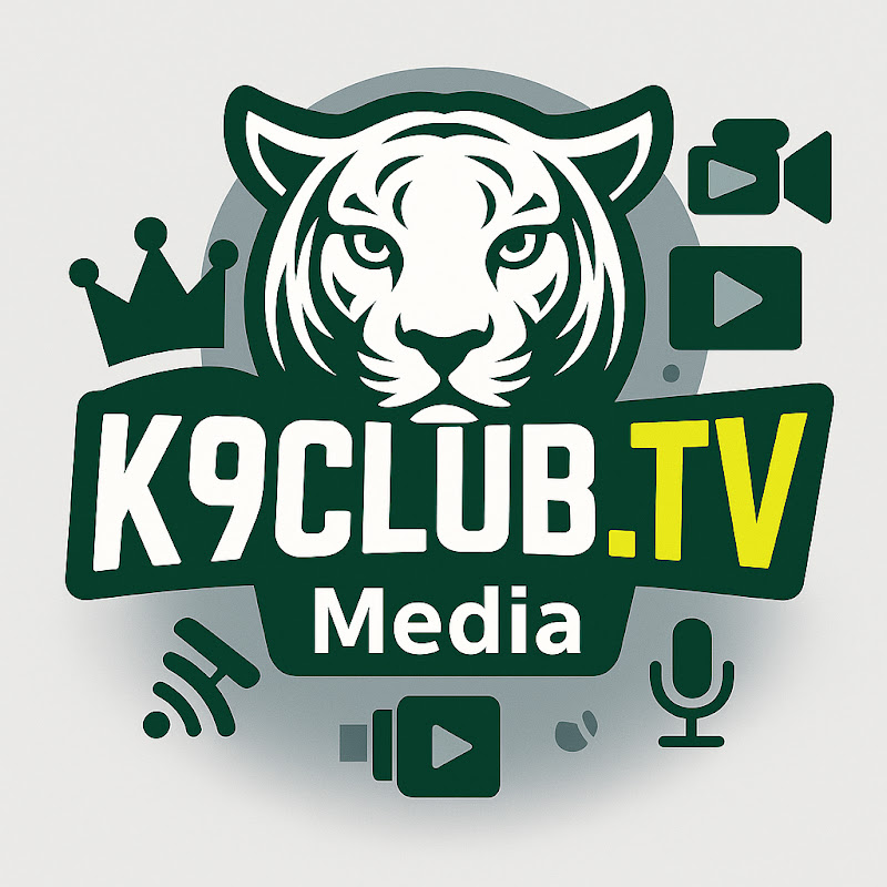 Phượng hoàng review