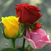 yours RS chanal 