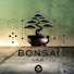 OEb2MhFHCjM-channel-avatar-bonsai lab