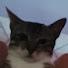 -koPdlpuQQ0-channel-avatar-guizinhiooooo