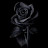 @hassnabad3789wwx
