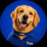 1cddQ5WzaKs-channel-avatar-Luxury Duggu 